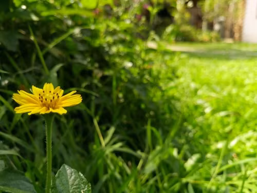 Tuy nhiên, đến hôm 13/4, Mobiistar mới chính thức tuyên bố sẽ bắt đầu cho đặt hàng PRIME X Max (6,99 triệu đồng) từ ngày 19/4 đến hết ngày 22/4/2016 với nhiều ưu đãi hấp dẫn.