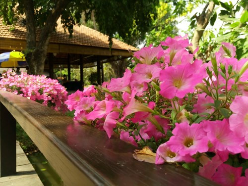 Cảm biến vân tay dạng một chạm, pin 3.000mAh hỗ trợ sạc không dây.