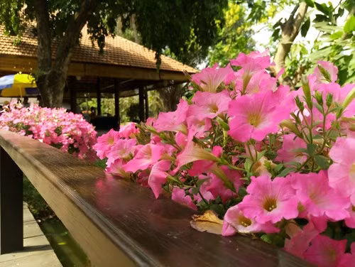 Cảm biến vân tay dạng một chạm, pin 3.000mAh hỗ trợ sạc không dây.