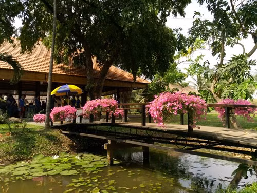 Máy hỗ trợ lấy nét theo pha, chụp ảnh RAW, camera selfie 8MP (cảm biến OmniVision) góc rộng 88 độ...