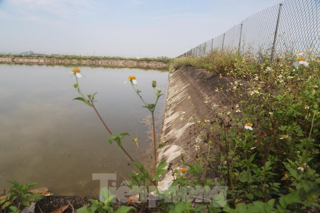 Hồ chứa nước được rào chắn bằng lưới B40 rất sơ sài, cỏ dại mọc um tùm