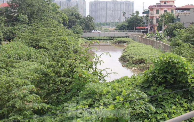 Thậm chí, nhiều đoạn cây bụi um tùm phủ kín cả lòng kênh dẫn.