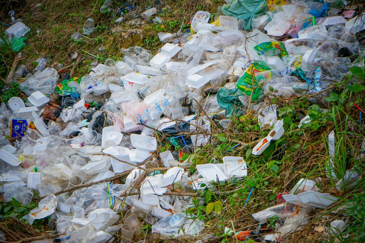 Việc rác thải được xả tràn lan không đúng chỗ đang làm ô nhiễm môi trường, tạo điều kiện cho ruồi nhặng sinh sôi, phát triển gây mất mỹ quan đô thị...