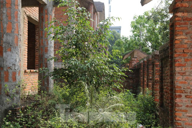 Dự án có tổng mức đầu tư hơn 228 tỷ đồng, được kỳ vọng sẽ đáp ứng nhu cầu về nhà ở cho 800 người. Năm 2009, dự án này bắt đầu triển khai xây dựng. Dự kiến sau 4 năm sẽ đi vào hoạt động. Tuy nhiên, dự án mới chỉ mới xây dựng được 12 căn biệt thự rồi bỏ hoang cho đến nay. Nhiều hạng mục khác làm dang dở hoặc chưa triển khai.