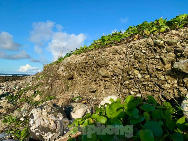 Ông Huỳnh Quá (trú thôn An Hải, huyện Lý Sơn) cho hay, đất hồi xưa ở tuốt ngoài kia, giờ sạt mất chừng 50 mét rồi. Bà con cứ dần dần thụt lùi vào để sản xuất nông nghiệp. Nước tiến vào đến đâu là bà con thụt dần vô tới đó. Bây giờ chỉ mong có cái kè để bà con yên tâm sản xuất.