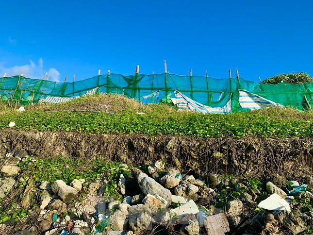 Sóng biển xâm thực tại đây không chỉ làm mất đất sản xuất của người dân trên huyện đảo Lý Sơn, mà còn đe dọa đến khu vực Hang Câu- một thắng cảnh du lịch nổi tiếng của hòn đảo tiền tiêu này. Người dân địa phương đang mong mỏi một tuyến kè để giữ đất.