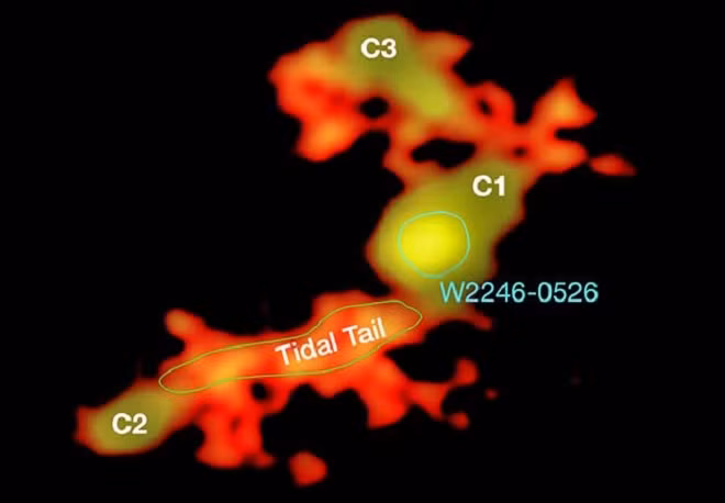 Thien ha 'quai vat' lam thit 3 dong loai