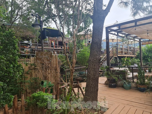 Trong khi đó, đất rừng, đất lâm trường tại xã Minh Phú vẫn hàng ngày bị xâm lấn, xây dựng tràn lan