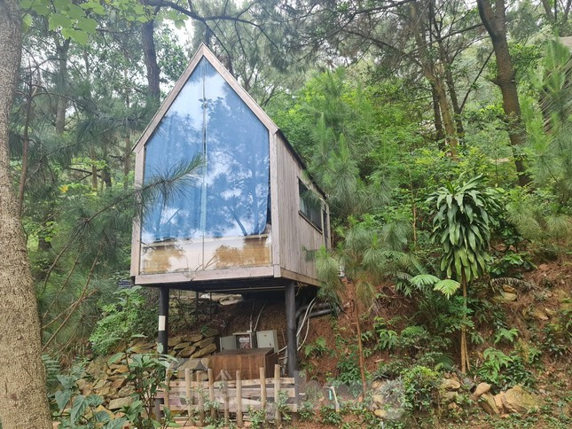 Tại đây, hàng loạt biệt thự đang được cấp tập xây dựng. Rừng thông được san gạt, xây dựng nhà hàng, quán cafe và hàng loạt nhà thép tiền chế dựa lưng vào núi.