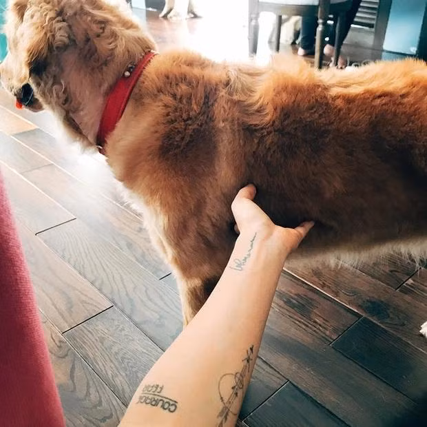 Ngo Thanh Van hiem hoi khoe hinh xam ca doi, lien quan Huy Tran?-Hinh-6