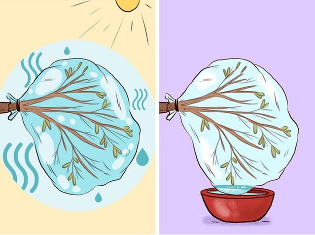 Kỹ năng sinh tồn cần thuộc lòng phòng khi bị mắc kẹt nơi hẻo lánh Ky nang sinh ton can thuoc long phong khi bi mac ket noi heo lanh