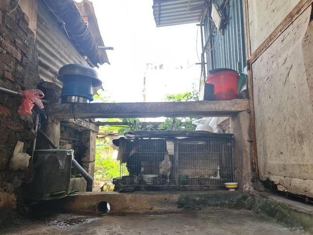 Ngay cửa nhà bà Hoa là nơi giặt giũ, chuồng gà