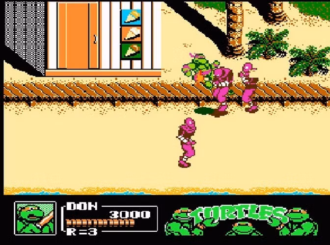 "Teenage Mutant Ninja Turtles" hay "Ninja Rùa" là trò chơi cho hãng Ultra Game phát hành năm 1989, đây là trò chơi chiến đấu hấp dẫn không kém Contra, nhưng độ khó và phức tạp cao hơn nhiều.