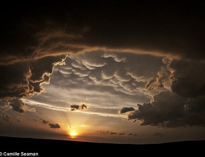 Thú vui tao nhã: Dắt... rùa đi dạo mỗi ngày ở Manchester ảnh 7