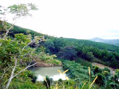 Một khu đất trang trại ở Sóc Sơn. Ảnh: Internet