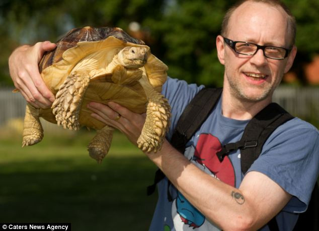 Con rùa rất khỏe mạnh vì được luyện tập thể dục hàng ngày cùng chủ nhân.