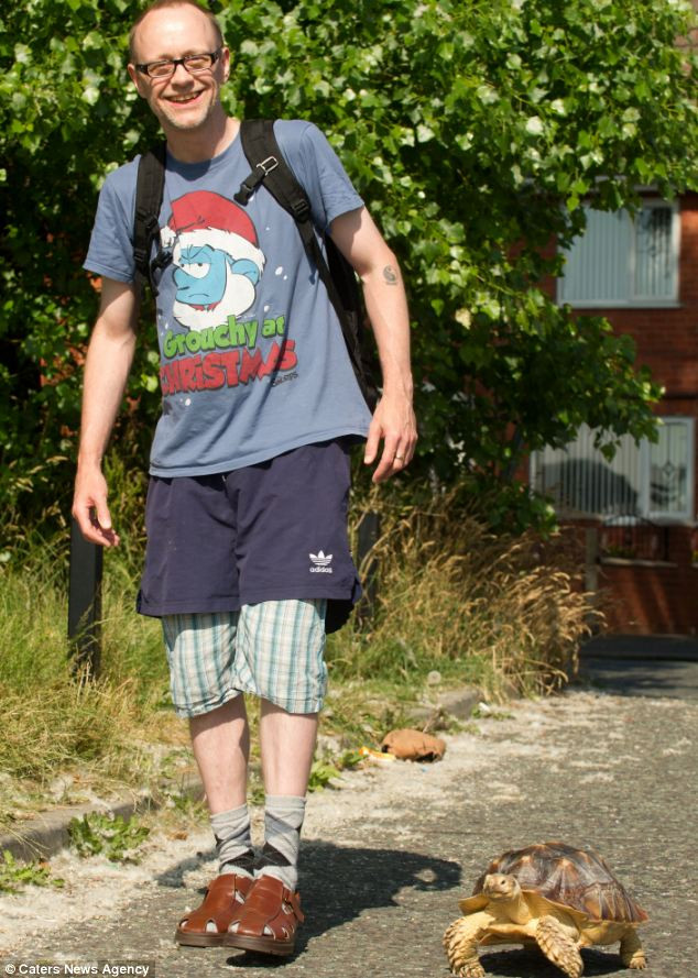 Ông Rob Davies đưa rùa Maximus đi dạo.