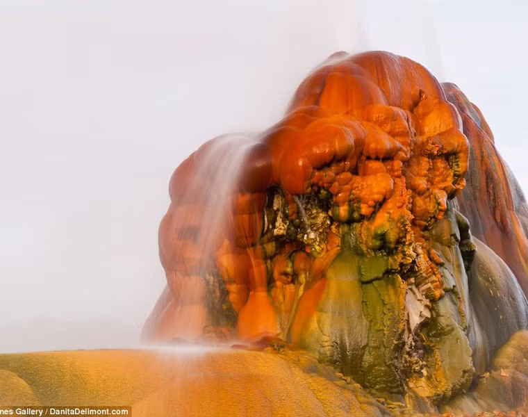  Mạch nước Fly Geyser có thể phun những cột nước cao khoảng 5m. 