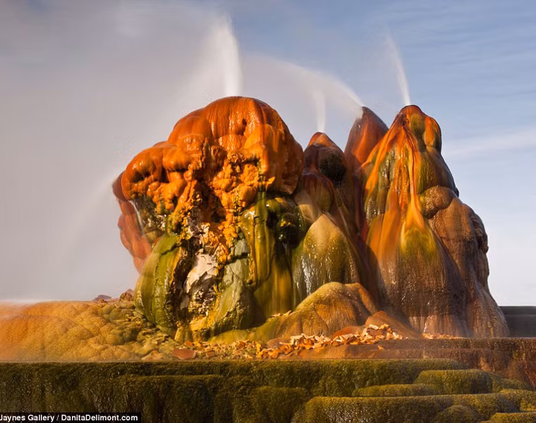  Những mạch nước này đã trở thành môi trường sống hoàn hảo của một số loài cá nhỏ, thiên nga, vịt trời. 