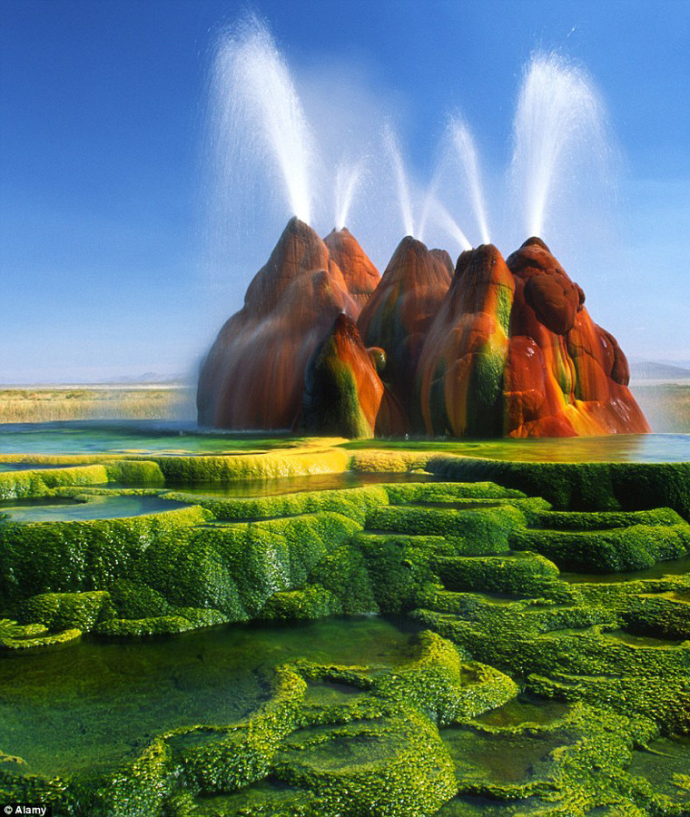  Mạch nước phun Fly Geyser không phải là hiện tượng tự nhiên hoàn toàn. Nó được sinh ra sau một "tai nạn". Năm 1916, chủ một trang trại tư nhân đã khoan giếng với hy vọng sẽ tìm được nguồn nước và biến sa mạc khô cằn thành đồng cỏ màu mỡ. Tuy nhiên, ông vô tình khoan trúng một túi địa nhiệt nước và kết quả là khu vực đó trở thành một suối nước nóng phun lên những cột nước vô cùng tuyệt đẹp.