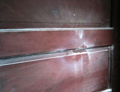 Thú vui tao nhã: Dắt... rùa đi dạo mỗi ngày ở Manchester ảnh 9