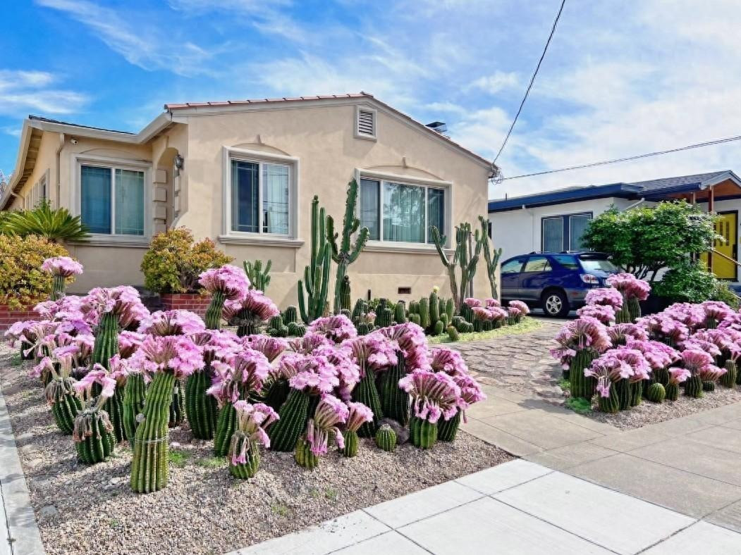 Chịu nhiệt và chịu hạn: Xương rồng là cây cảnh chịu nhiệt và chịu nắng tốt nhất trên thế giới. Nhiều loài hoa không thể chịu được cái nắng như thiêu đốt vào mùa hè, chỉ có xương rồng càng ra nắng càng nở hoa rực rỡ. 