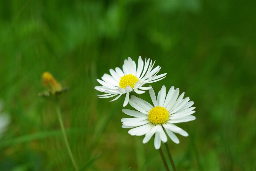 Vận may ngày 10/8: 3 con giáp tránh được phiền phức, bắt đầu son - Hình 3 Van may ngay 10/8: 3 con giap tranh duoc phien phuc, bat dau son-Hinh-3