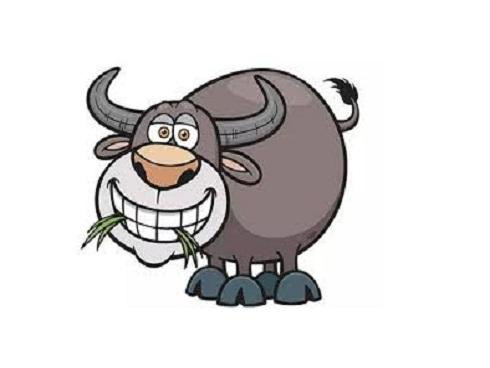 Những đứa trẻ sinh năm Sửu rất tự chủ, không nổi cơn tam bành nhưng lại bướng bỉnh và ít nói. Trẻ tuổi Sửu thích kỷ luật và chúng sẽ hài lòng khi tuân theo một lịch trình. Đây là điểm mạnh khi bé lớn lên, bé có thể dễ dàng làm việc trong một môi trường kỷ cương.