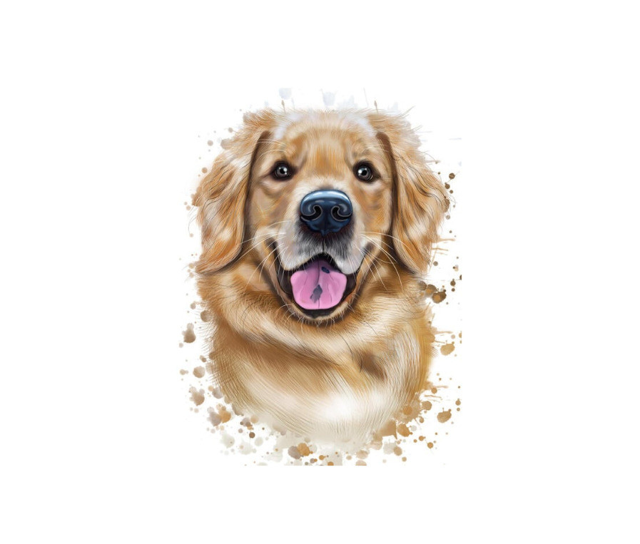 Trong nửa cuối năm 2024 này, hãy là chính mình và tiếp tục phấn đấu, bởi vận may và thành công đang không ngừng mỉm cười với những người tuổi Tuất.