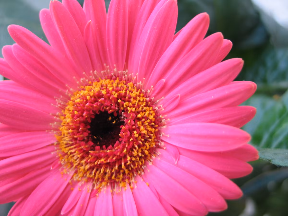 Ai sinh ngay Am lich nay so menh 'vang rong', doi nhieu mat ngot-Hinh-5