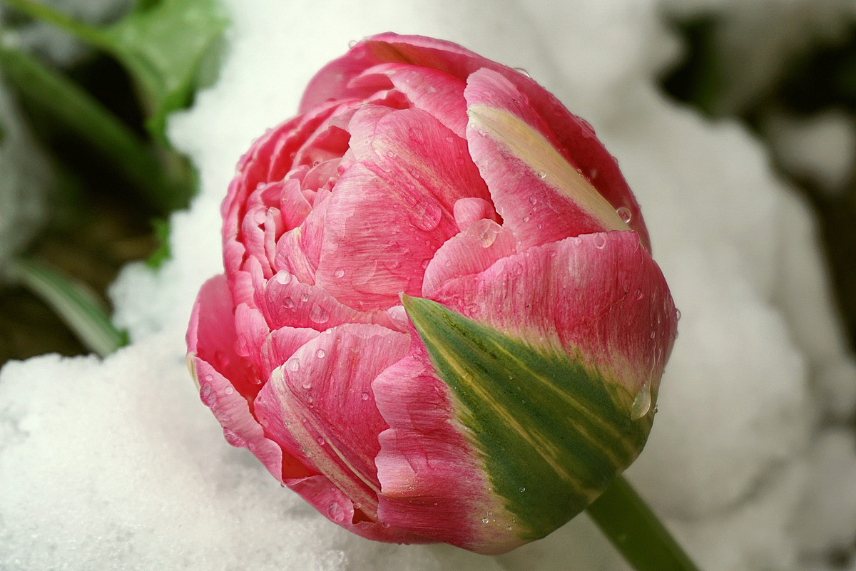 Ai sinh tháng Âm lịch này có nhiều phước báu, giàu sang cuối 2024 Ai sinh thang Am lich nay co nhieu phuoc bau, giau sang cuoi 2024