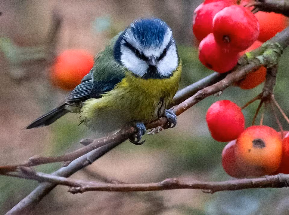 3 ngày sinh Âm lịch của người khôn ngoan, càng già càng như ý - Hình 2 3 ngay sinh Am lich cua nguoi khon ngoan, cang gia cang nhu y-Hinh-2