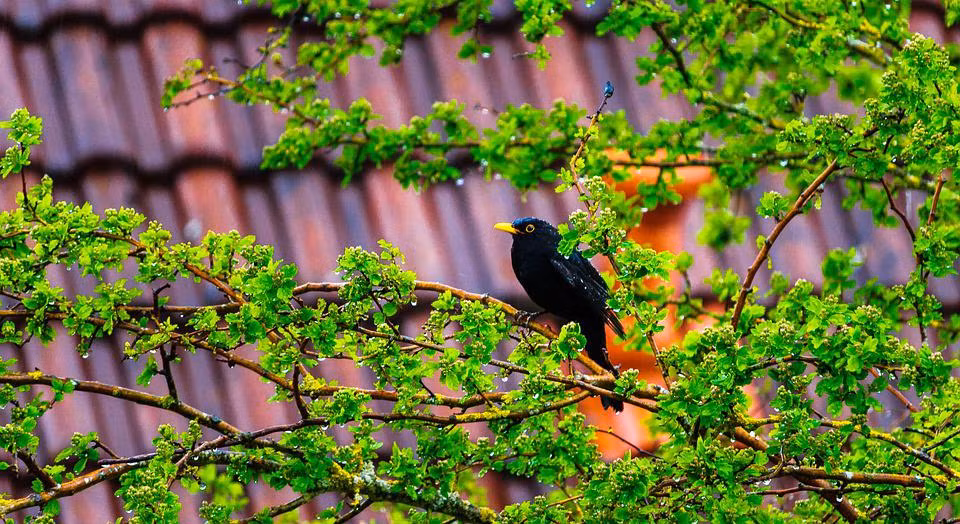 3 ngày sinh Âm lịch của người khôn ngoan, càng già càng như ý - Hình 3 3 ngay sinh Am lich cua nguoi khon ngoan, cang gia cang nhu y-Hinh-3