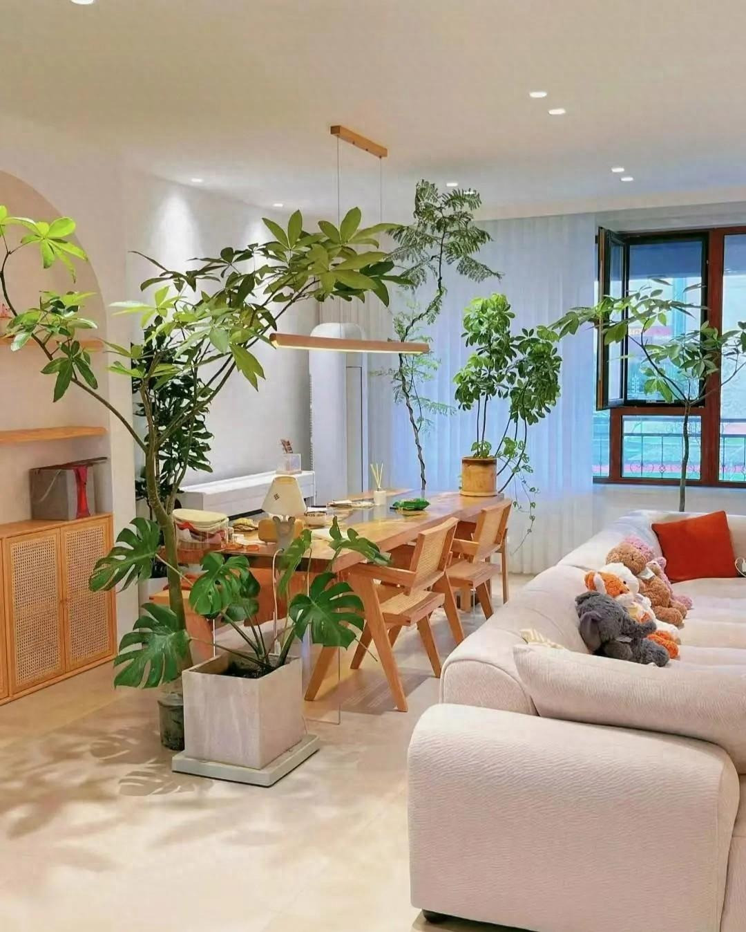 Co nhan dan: Trong nha trong 5 cay, con chau khoe manh, thong minh-Hinh-4