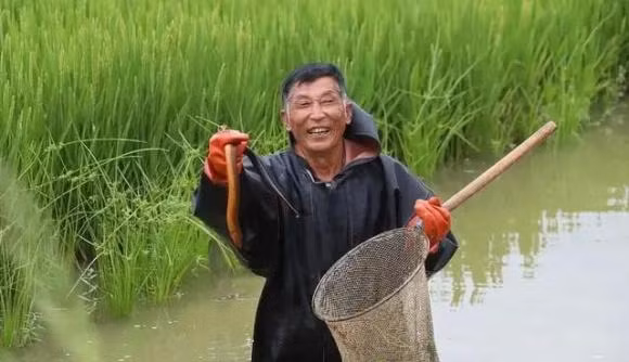 Thang 7 ong, thang 8 ran, thang 9 khong nen quay nhieu luon, tai sao?-Hinh-4