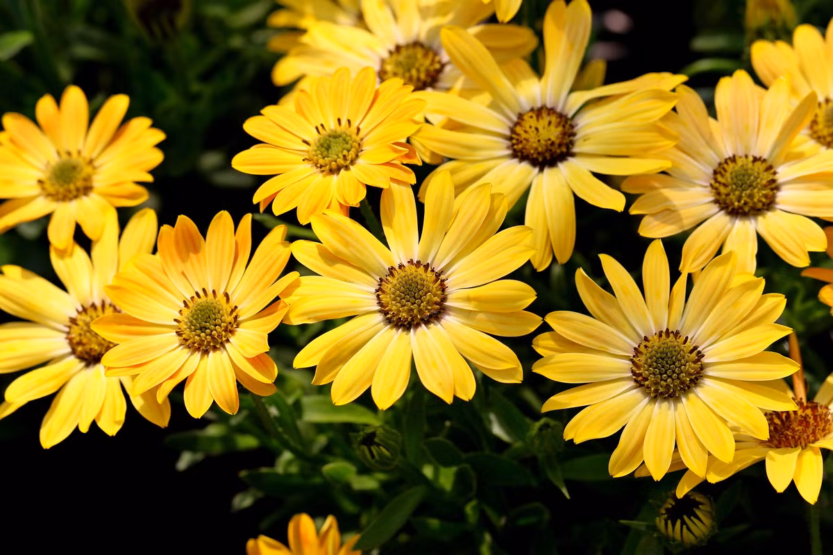 Ai sinh ngày Âm lịch này Trời định may mắn, giàu sang - Hình 6 Ai sinh ngay Am lich nay Troi dinh may man, giau sang-Hinh-6