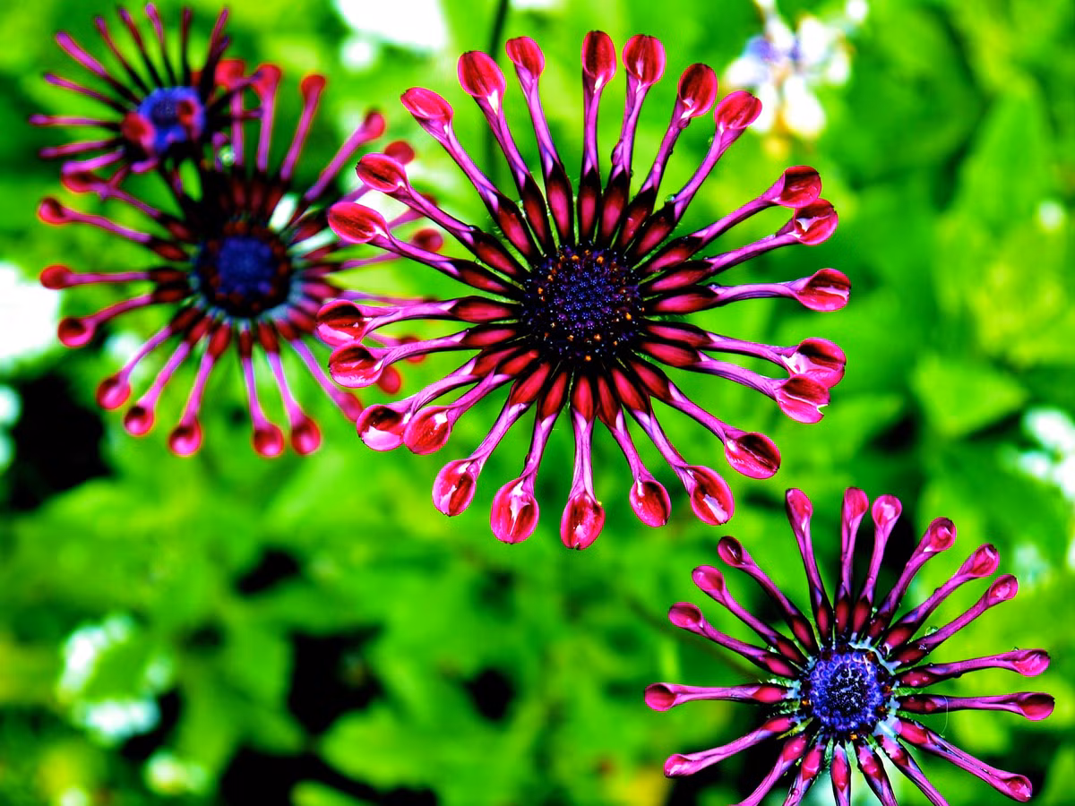 Ai sinh ngày Âm lịch này Trời định may mắn, giàu sang - Hình 5 Ai sinh ngay Am lich nay Troi dinh may man, giau sang-Hinh-5