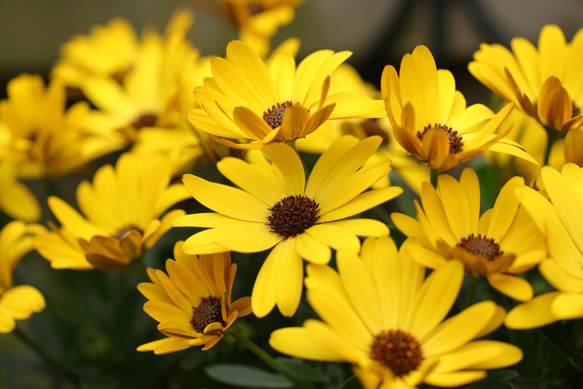 Ai sinh ngày Âm lịch này Trời định may mắn, giàu sang - Hình 8 Ai sinh ngay Am lich nay Troi dinh may man, giau sang-Hinh-8