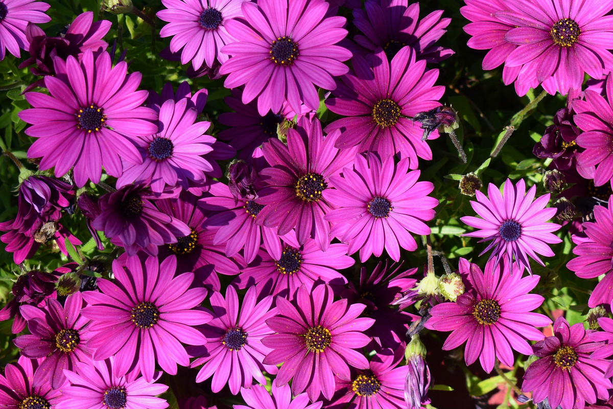 Ai sinh ngày Âm lịch này Trời định may mắn, giàu sang Ai sinh ngay Am lich nay Troi dinh may man, giau sang