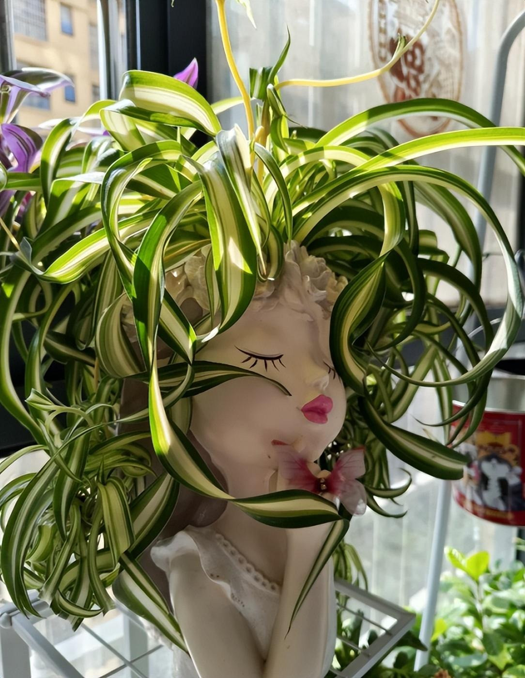  Những bông hoa nhỏ màu trắng thanh nhã của nó không bao giờ muốn tranh giành vẻ vinh quang của những chiếc lá mà lặng lẽ ẩn mình bên trong, thỉnh thoảng lại lộ ra những cánh hoa, giống như một nụ cười xinh đẹp, e thẹn của 1 cô gái nhỏ.