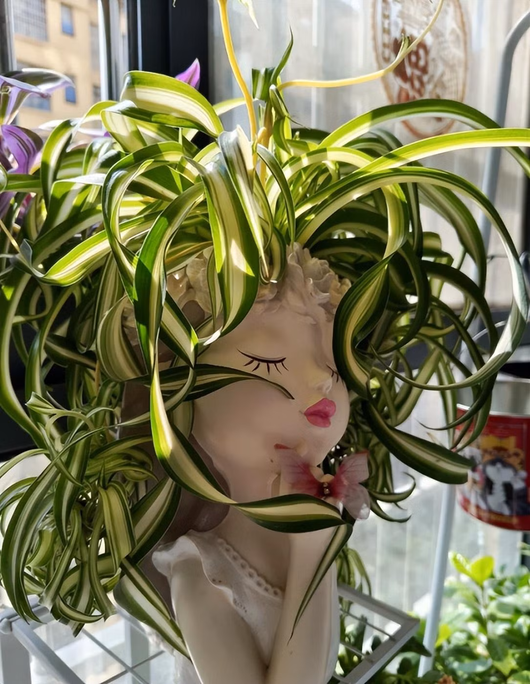  Những bông hoa nhỏ màu trắng thanh nhã của nó không bao giờ muốn tranh giành vẻ vinh quang của những chiếc lá mà lặng lẽ ẩn mình bên trong, thỉnh thoảng lại lộ ra những cánh hoa, giống như một nụ cười xinh đẹp, e thẹn của 1 cô gái nhỏ.