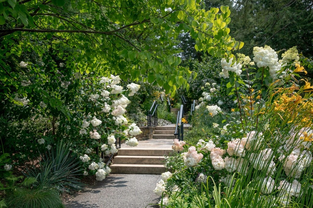  Hình dạng của chúng thật giống với một cái kem vani ốc quế lớn được dưới lên những lớp dâu tây đỏ rực ngon mắt. Chúng cũng giống như quả dâu tây khổng lồ rực rỡ, hứa hẹn sự ngọt ngào và viên mãn.