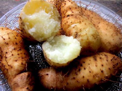 Củ từ chứa hàm lượng vitamin, axit amin, khoáng chất phong phú, tăng cường hệ miễn dịch của cơ thể, có tác dụng dịch tâm an thần nên rất lợi cho bé.