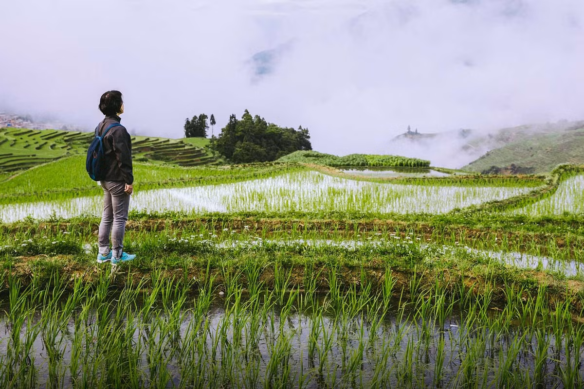 Thanh nien Trung Quoc vo mong khi nghi huu som, bo pho ve que