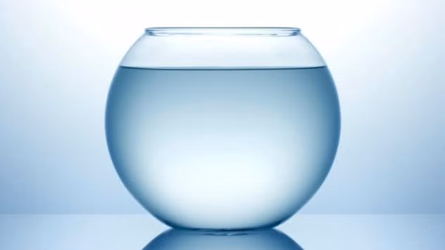 Để cứu vãn quán café đang trên đà phá sản tại New York, bà chủ quán đã mua một bình cá vàng, đổ đầy nước và dán nhãn “Cá vô hình của Nam Mỹ” phía ngoài. Chẳng bao lâu, quán trở nên đông khách tới nỗi cảnh sát phải can thiệp để giải tán đám đông.