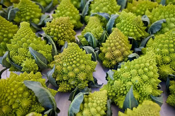 Loai rau nhu tac pham nghe thuat, vua bo tim vua chong ung thu