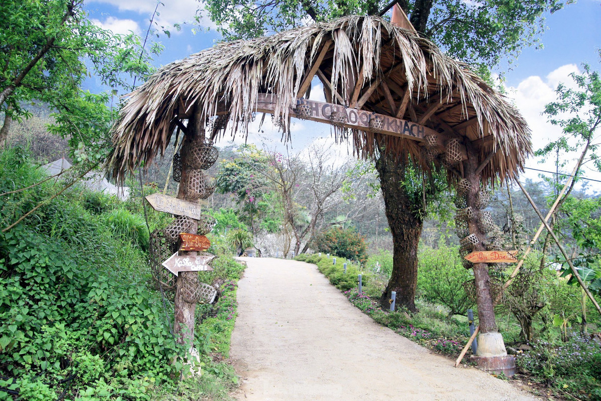 Bà con Sin Suối Hồ dùng chính những nếp nhà Mông truyền thống của mình để làm du lịch. Do đó, du khách có thể vào bất kì ngôi nhà nào trong bản để thăm quan cũng như tìm hiểu nếp sống sinh hoạt của họ.