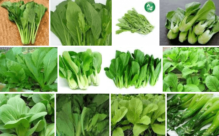 7 loai thuc pham de kiem giup ngan ngua ung thu tuyen tien liet-Hinh-2