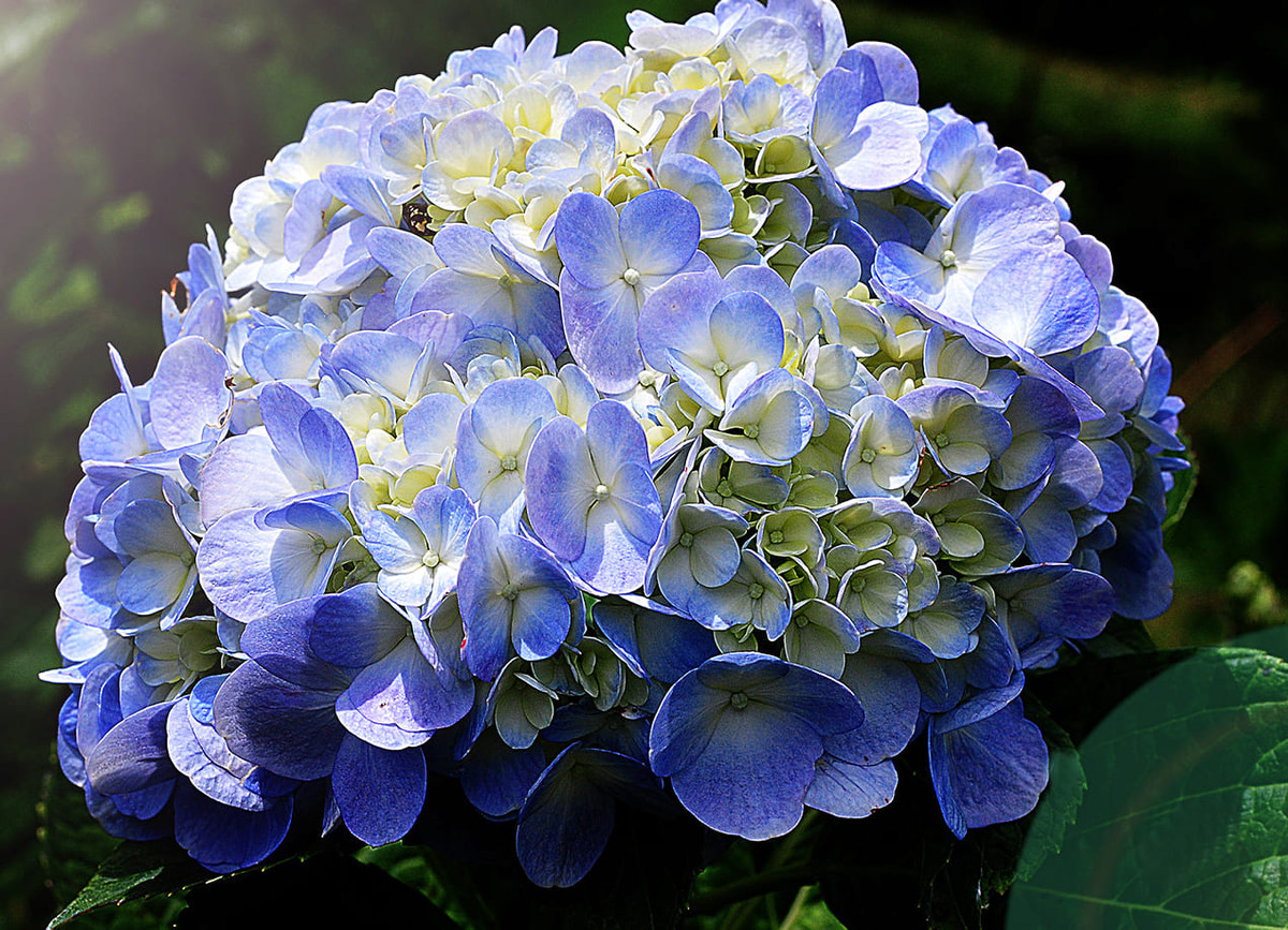 Tre sinh vao gio nay dung cam, thao vat, ve sau thanh cong hon nguoi-Hinh-2