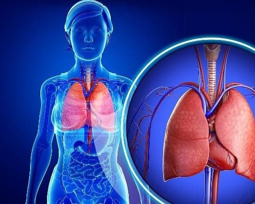 Nhan biet gan cua ban co tot hay khong bang cach di ve sinh-Hinh-3